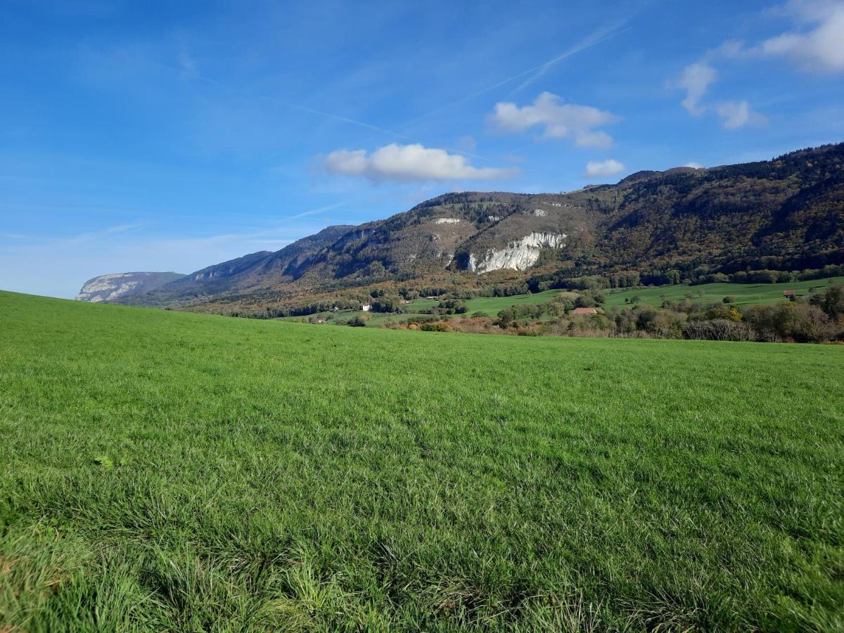 The Originals City, Hotel Rey Du Mont Sion, Saint-Julien-En-Genevois Sud Екстериор снимка