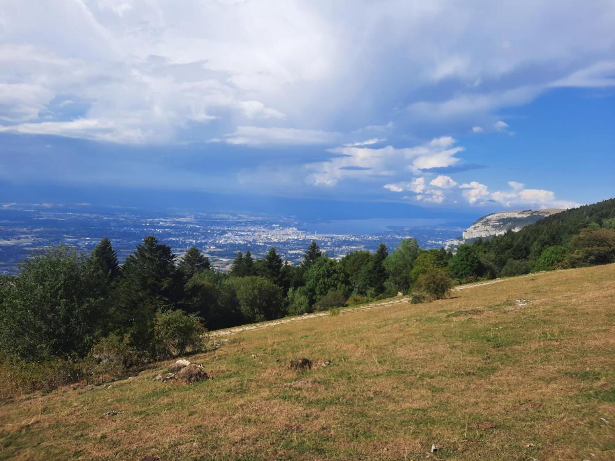 The Originals City, Hotel Rey Du Mont Sion, Saint-Julien-En-Genevois Sud Екстериор снимка